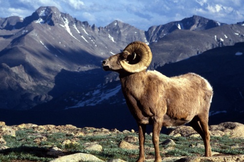 Rocky Mountain National Park